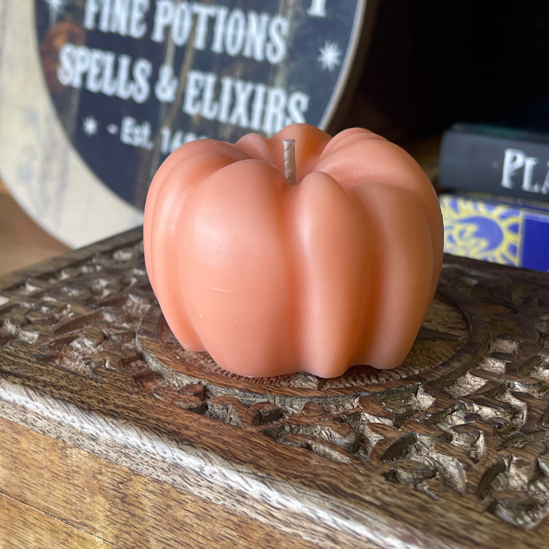 Pumpkin Spice Pumpkin Candle Essential Oils and Soy Wax