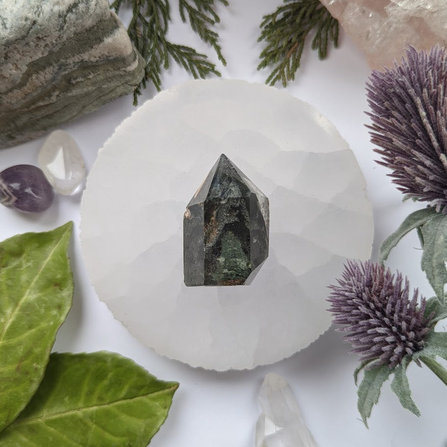 Garden Quartz Point 11