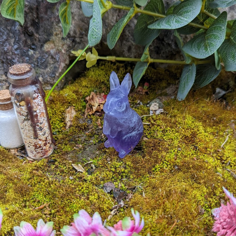 Fluorite Bunny Rabbit