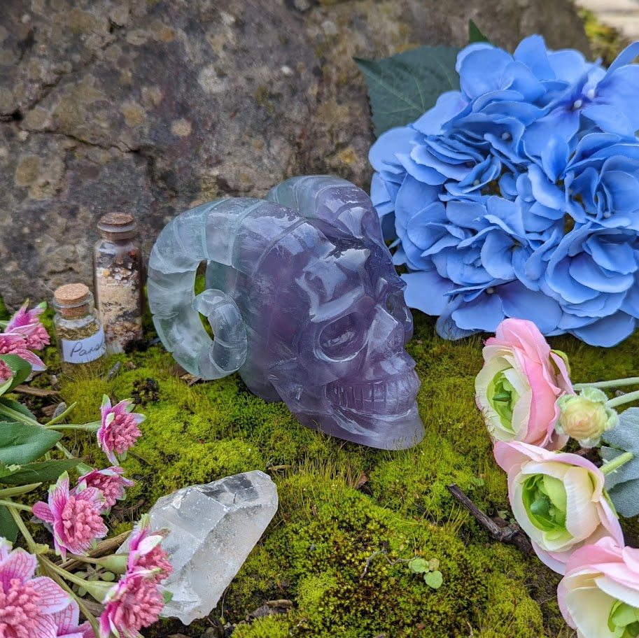 Rainbow Fluorite & Horns Skull