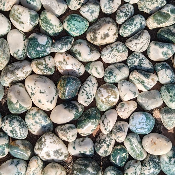 Tree Agate Tumblestone